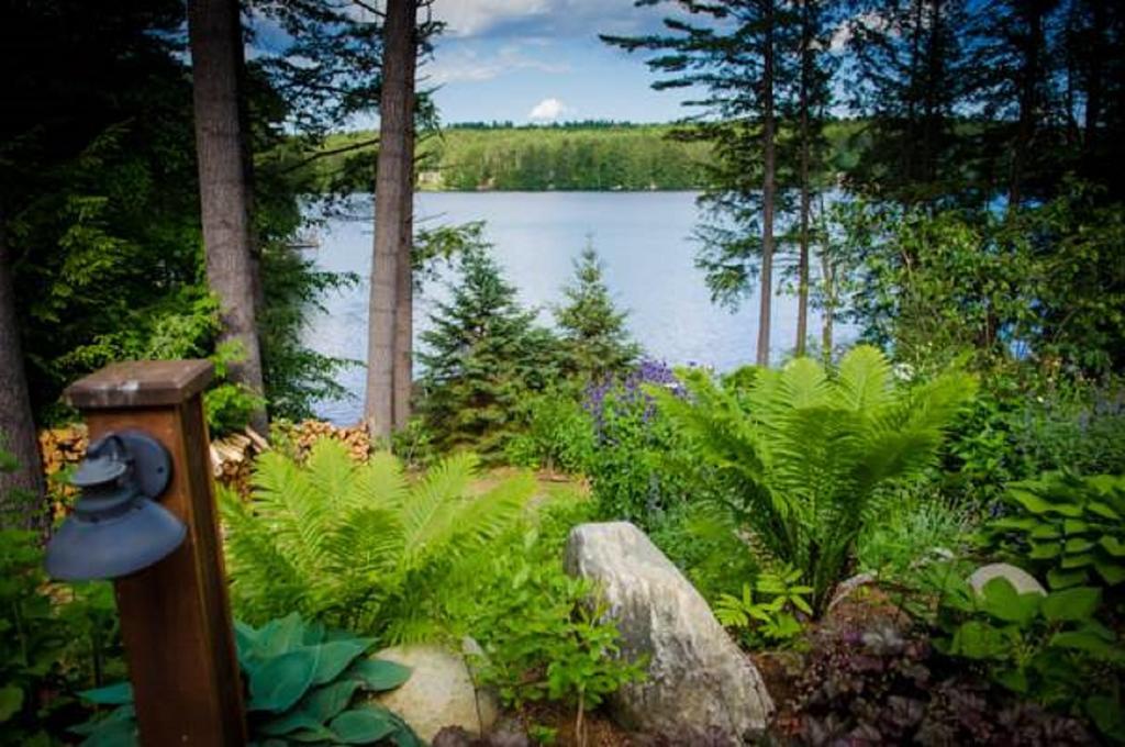 The Fern Lodge Chestertown Eksteriør billede
