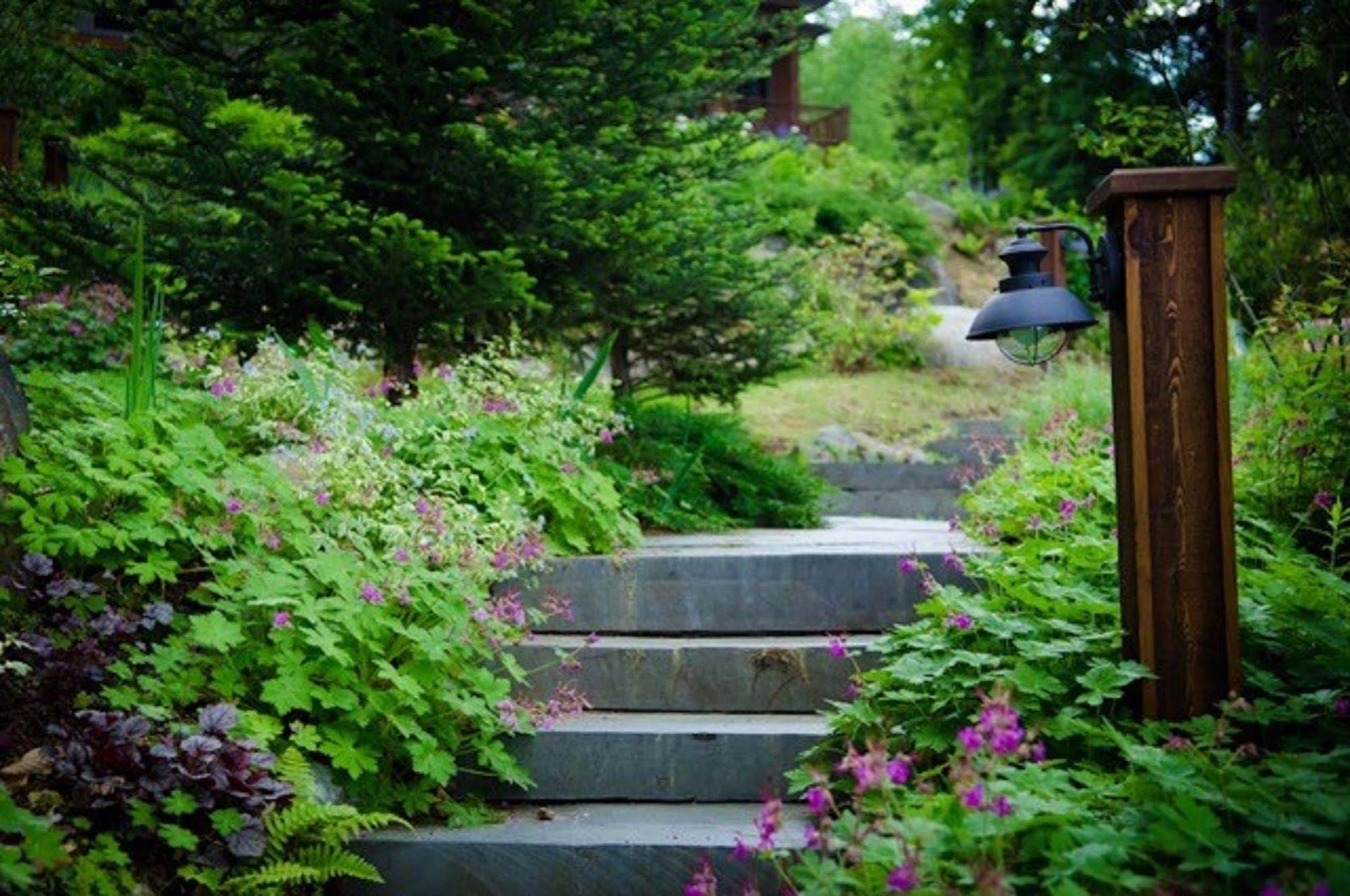 The Fern Lodge Chestertown Eksteriør billede